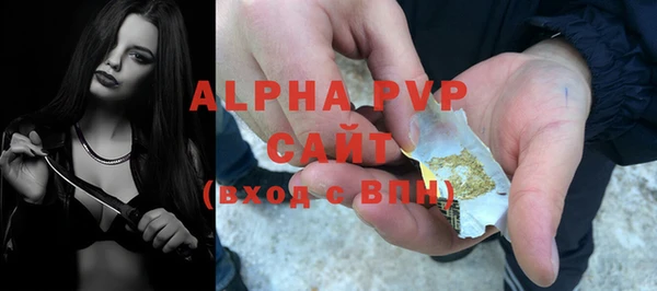 PSILOCYBIN Переславль-Залесский