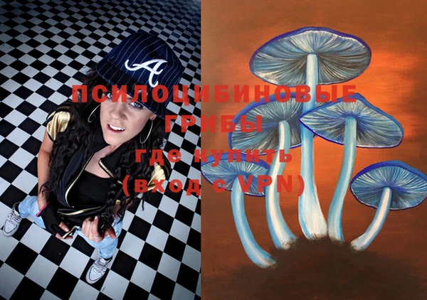PSILOCYBIN Переславль-Залесский