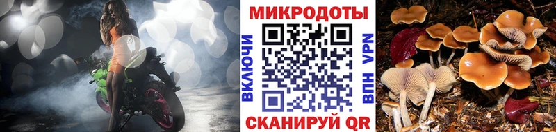 Галлюциногенные грибы Cubensis  Осташков 
